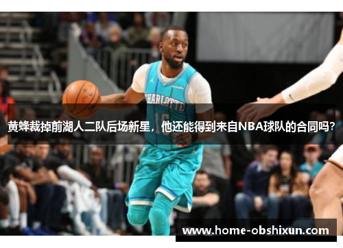 黄蜂裁掉前湖人二队后场新星，他还能得到来自NBA球队的合同吗？